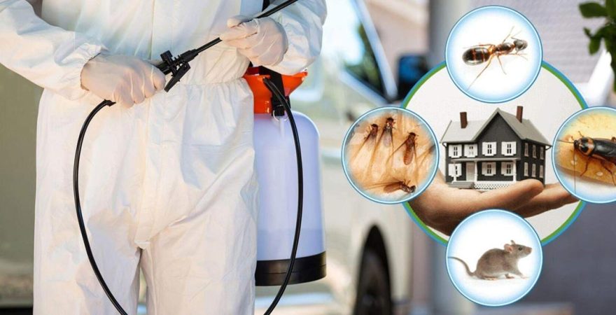 İşçievleri Böcek İlaçlama