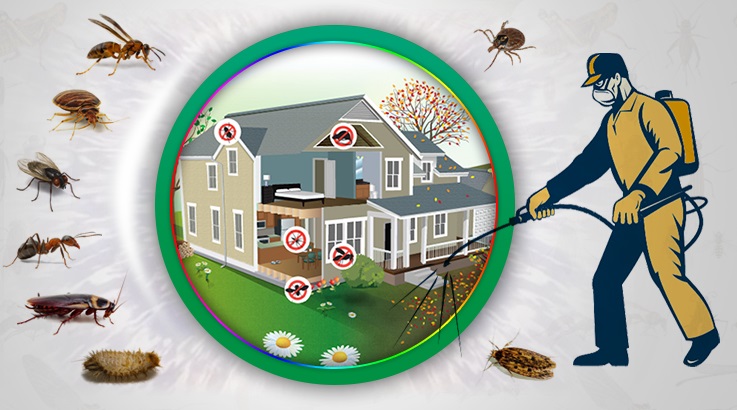 İşçievleri Böcek İlaçlama