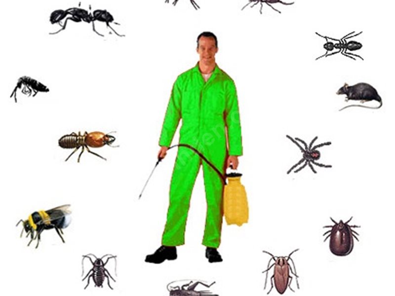 İşçievleri Böcek İlaçlama